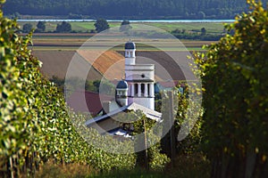 Church And Vineyards In Bogojina, Slovenia